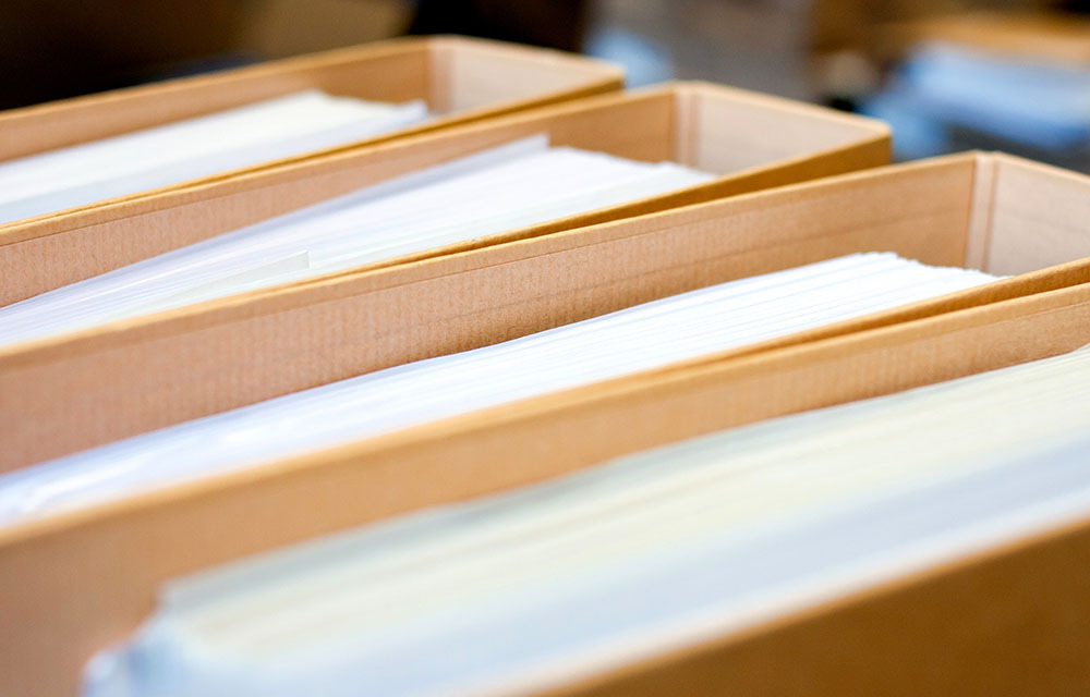 Multiple yellow folders standing upright against each other