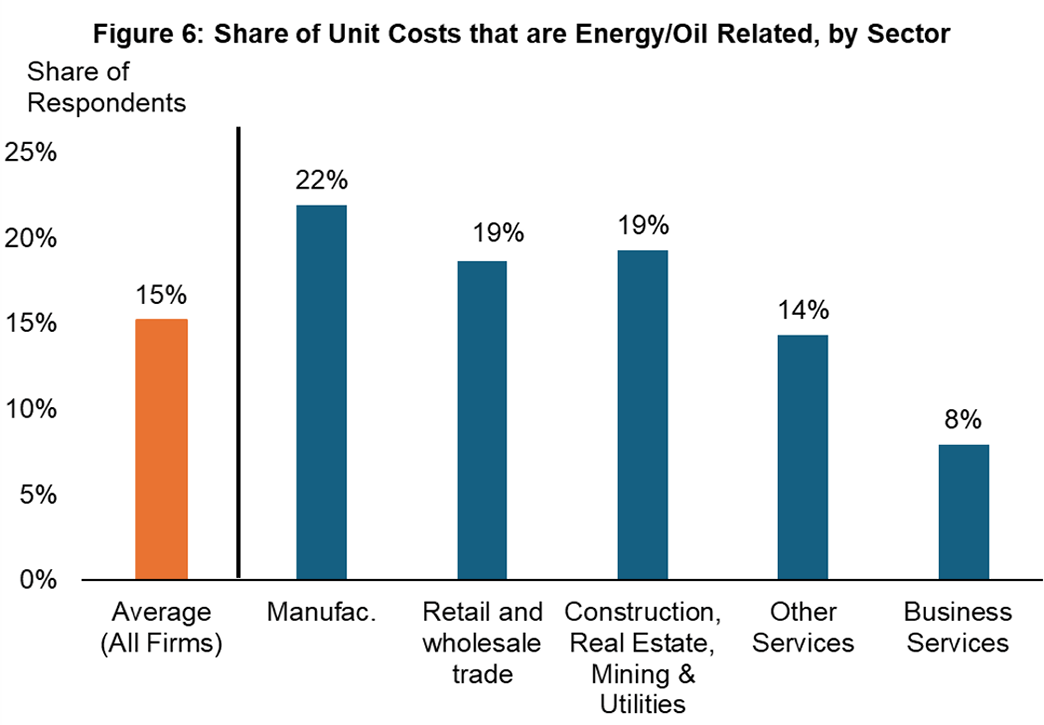 Figure 6, bar chart showing the share of unit costs that are energy/oil related, by sector.