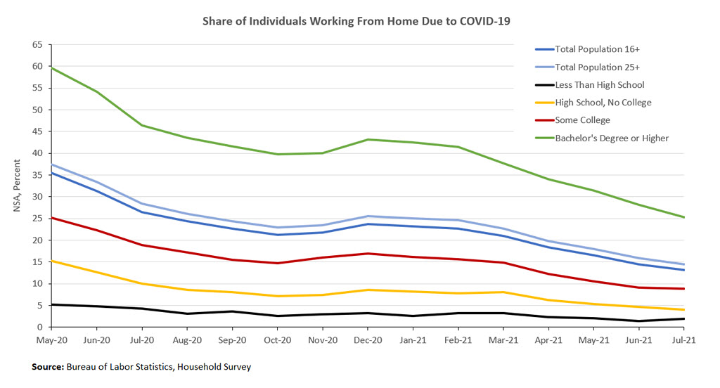 Share of Individuals Working From Home Due to COVID-19