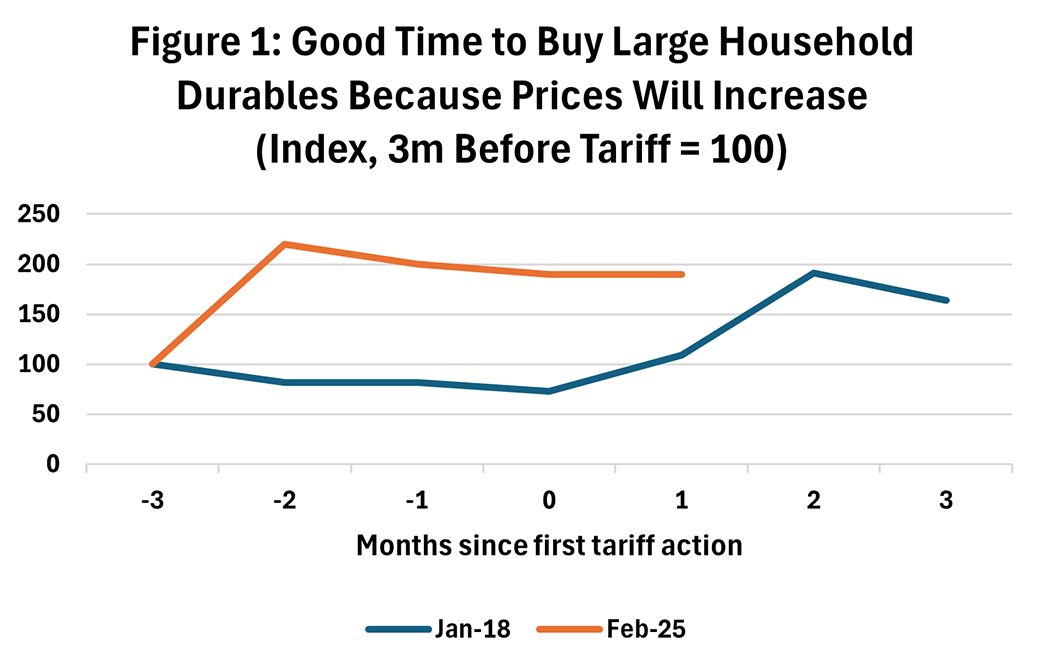 Line graph comparing consumer sentiment in January 2018 to February 2025 on if it&quot;s a good time to buy large household durables because prices will increase.