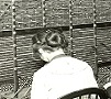 Telephone operators