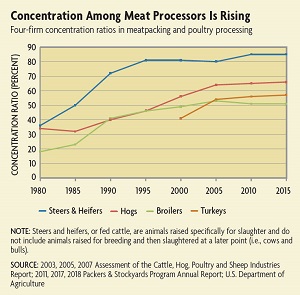 meat industry consolidation