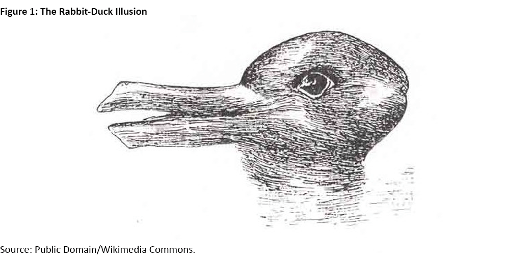 Figure 1, illustration of the rabbit-duck illusion.