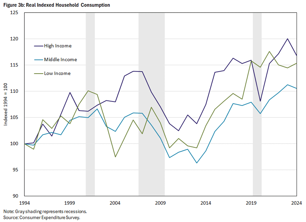 Figure 3b, line graph showing real indexed household consumption between 1994 and 2024.
