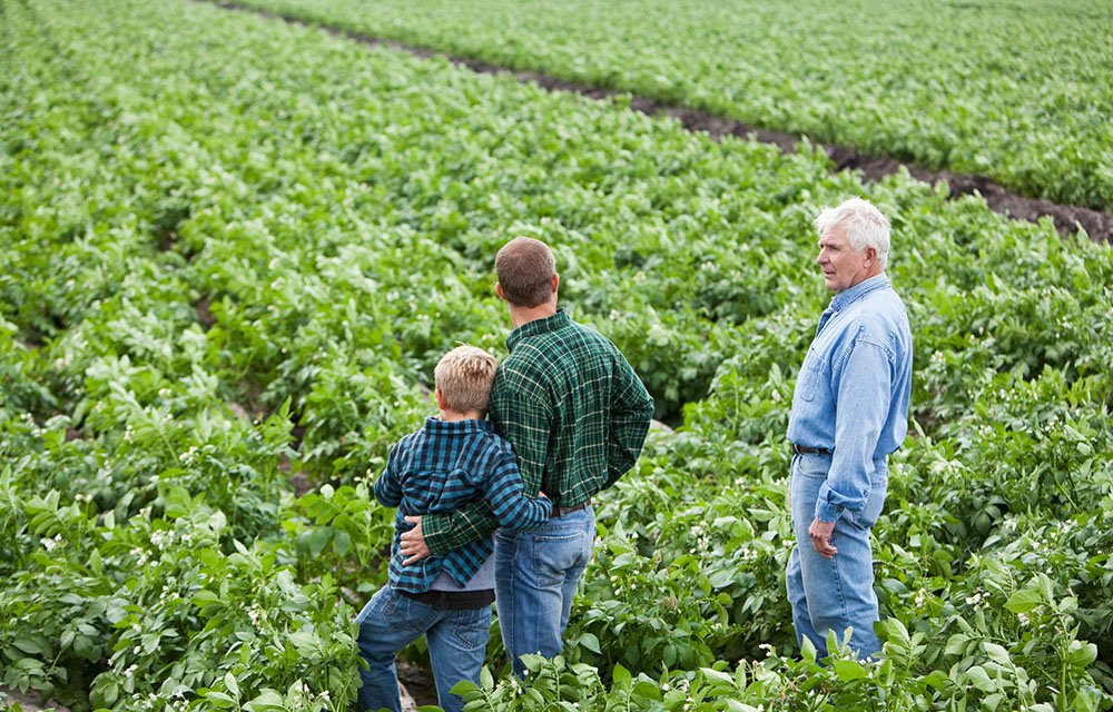 people in field