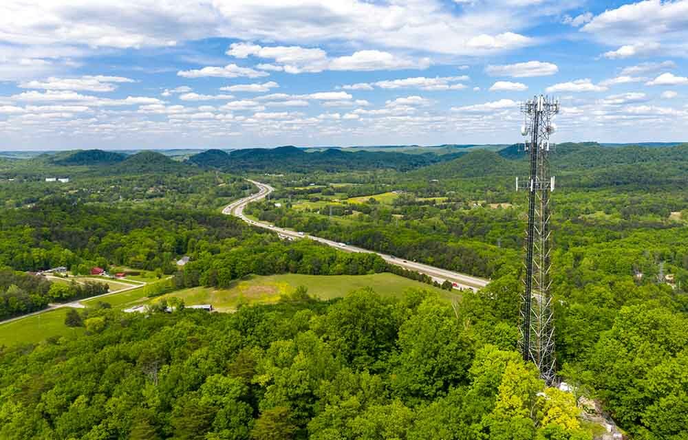 Picture of green landscape with electrical tower located towards the right