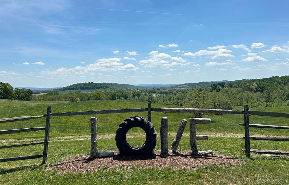 Sign that says love in a grassy field in Winchester, Virginia