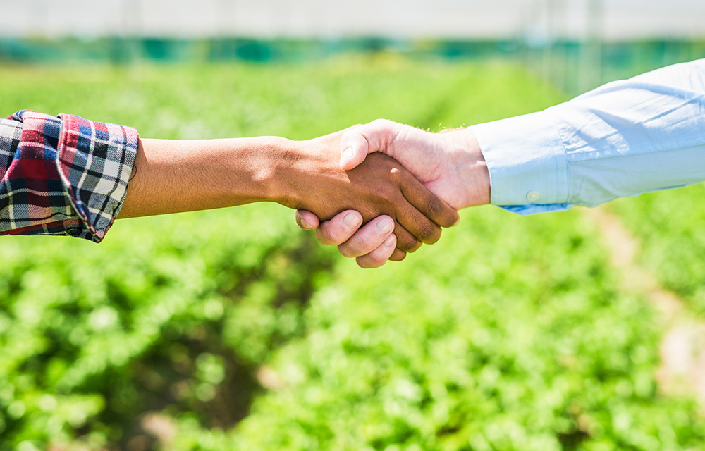 Hands shaking with farmland in the background