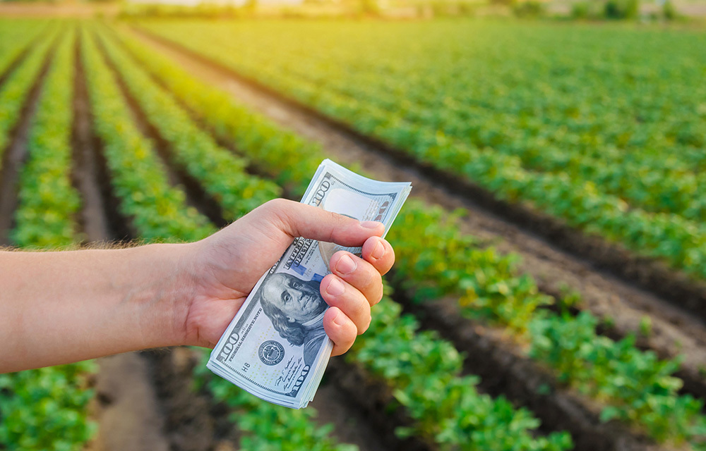 Hand holding out money with rural landscape in background