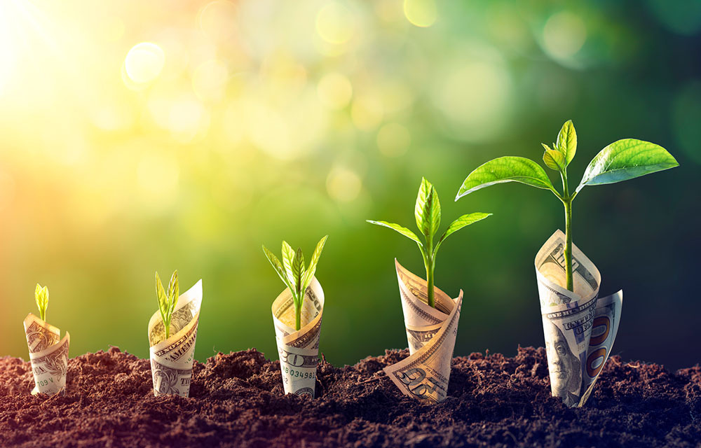 Image of rolled money growing out of the ground like carrots.