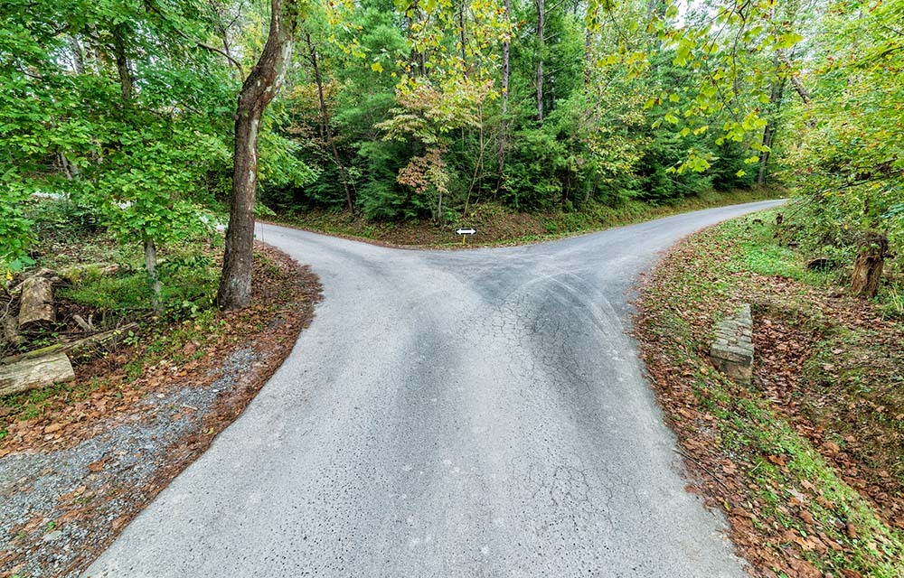 A paved road in the forest forks into two directions