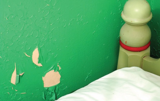 lead paint